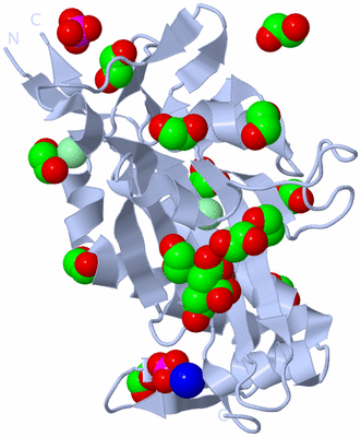 Image Biological Unit 1