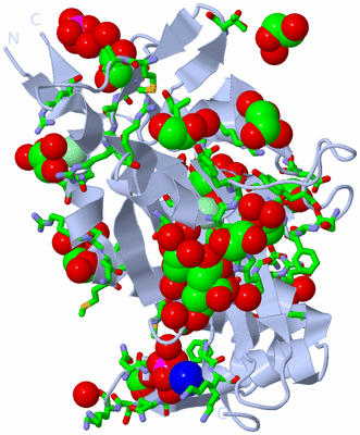 Image Biol. Unit 1 - sites