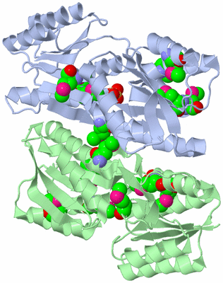 Image Asym./Biol. Unit