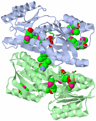 Image Asym./Biol. Unit - sites