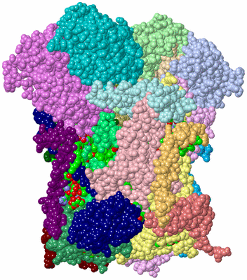 Image Asym./Biol. Unit - sites