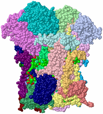 Image Asym./Biol. Unit - sites