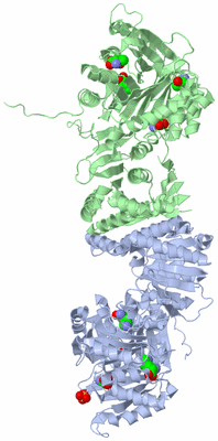 Image Asym./Biol. Unit