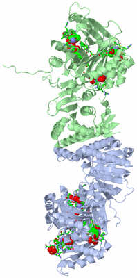 Image Asym./Biol. Unit - sites