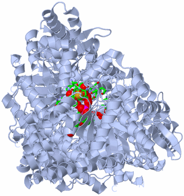 Image Biol. Unit 1 - sites