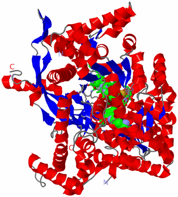 Image Asym. Unit - sites