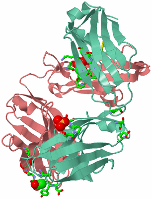 Image Biol. Unit 1 - sites