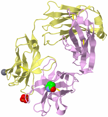 Image Biological Unit 3