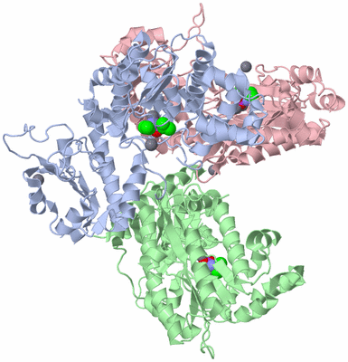 Image Biological Unit 1