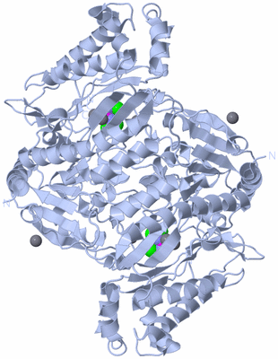 Image Biological Unit 2