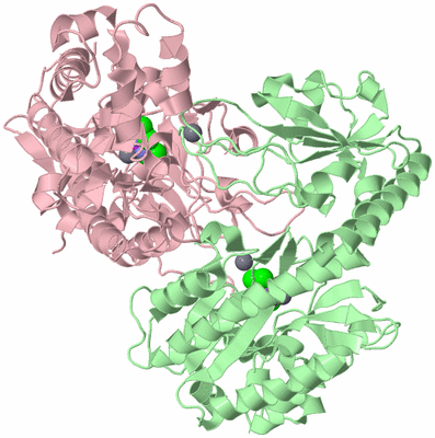 Image Biological Unit 3