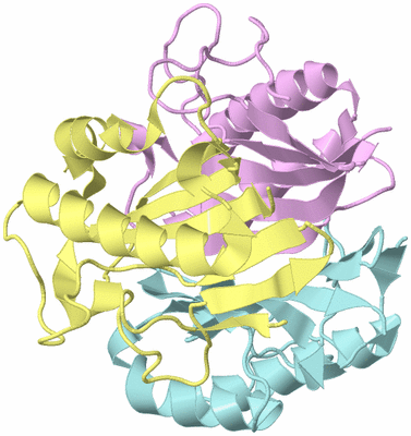 Image Biological Unit 2