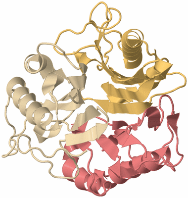 Image Biological Unit 3