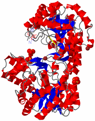 Image Asym./Biol. Unit