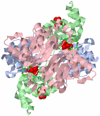 Image Biol. Unit 1 - sites