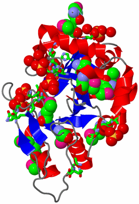Image Asym./Biol. Unit - sites