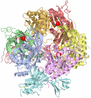 Image Asym./Biol. Unit - sites