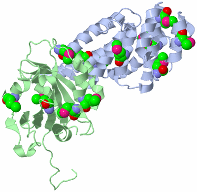 Image Biological Unit 1