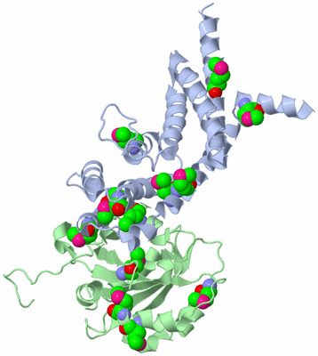 Image Biological Unit 3