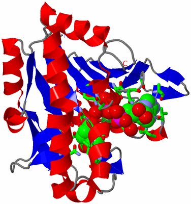 Image Asym./Biol. Unit - sites