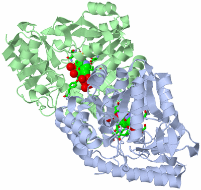 Image Asym./Biol. Unit - sites