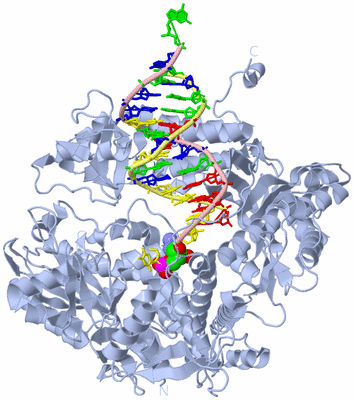 Image Biological Unit 1