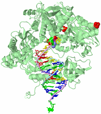 Image Biological Unit 2