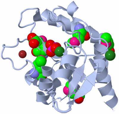 Image Biological Unit 1