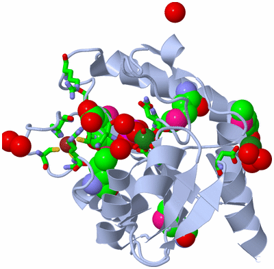 Image Biol. Unit 1 - sites