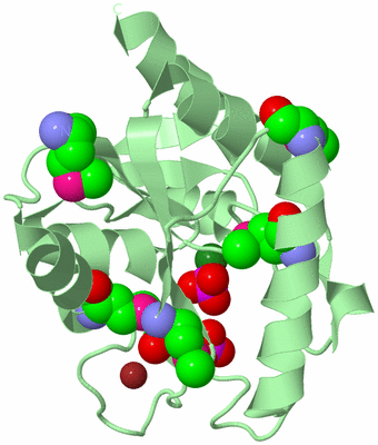 Image Biological Unit 2