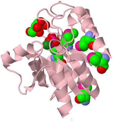 Image Biological Unit 3