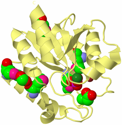 Image Biological Unit 4