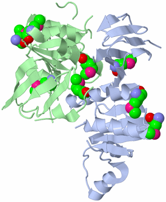 Image Biological Unit 2