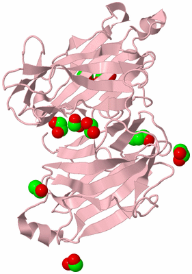 Image Biological Unit 3