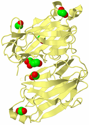 Image Biological Unit 4