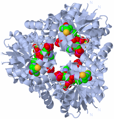 Image Biological Unit 1