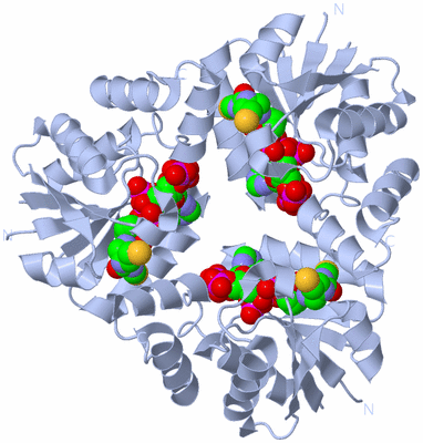 Image Biological Unit 2