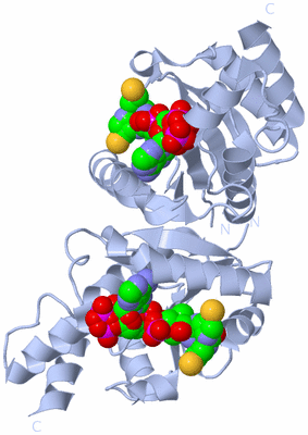 Image Biological Unit 3