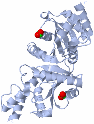 Image Biological Unit 3