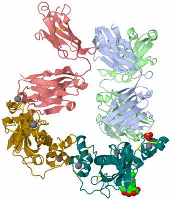 Image Biological Unit 1