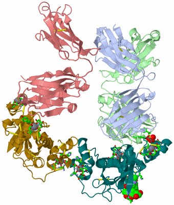 Image Biol. Unit 1 - sites