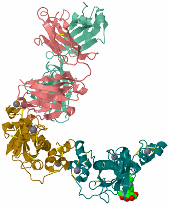 Image Biological Unit 2