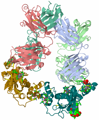 Image Asym. Unit - sites