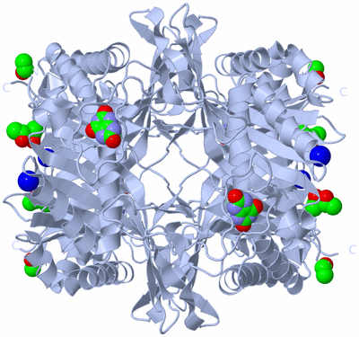 Image Biological Unit 1