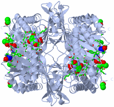 Image Biol. Unit 1 - sites