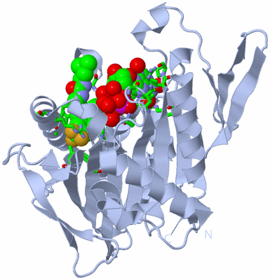 Image Biol. Unit 1 - sites