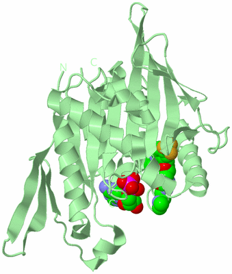 Image Biological Unit 2