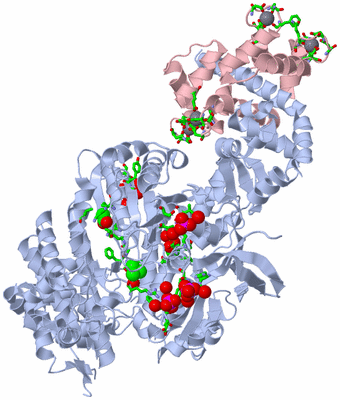 Image Asym./Biol. Unit - sites