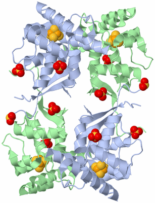 Image Biological Unit 1