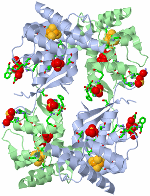 Image Biol. Unit 1 - sites